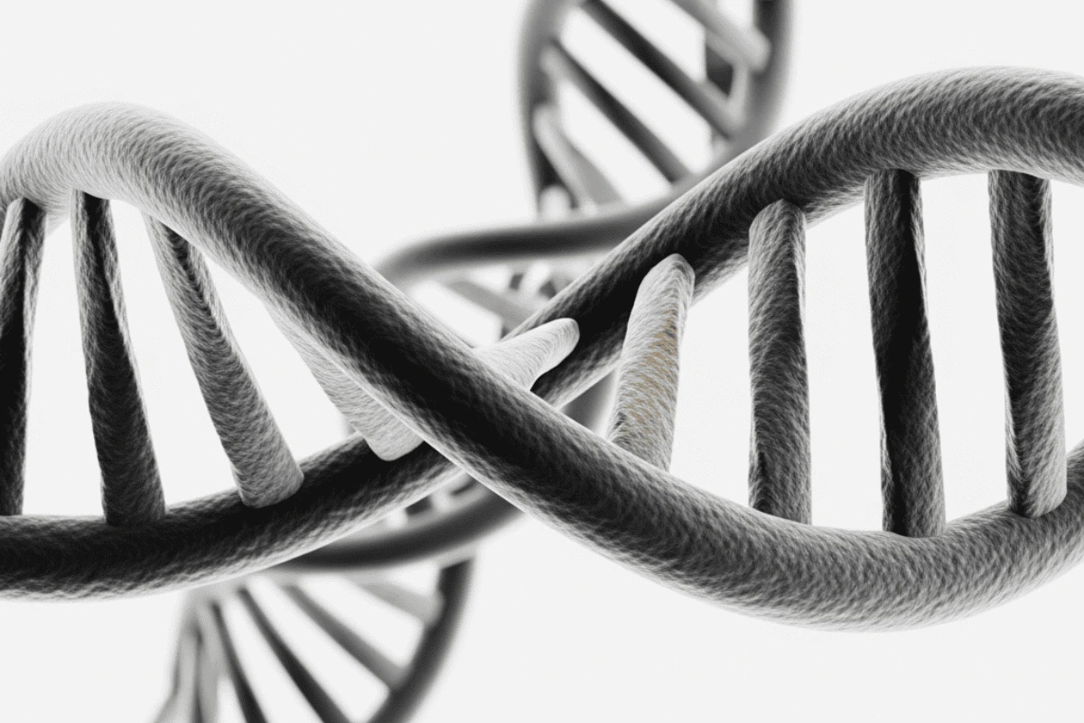 Adsız tasarım - 2025-07-07T222410.598